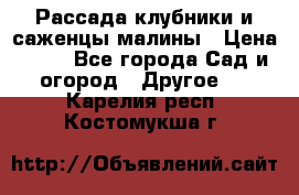 Рассада клубники и саженцы малины › Цена ­ 10 - Все города Сад и огород » Другое   . Карелия респ.,Костомукша г.
